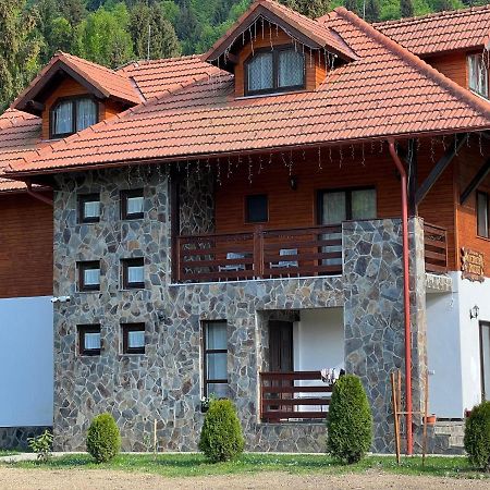 Pensiunea Pietrosul Rodnei Moisei Exterior foto