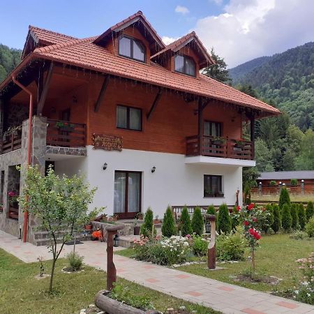 Pensiunea Pietrosul Rodnei Moisei Exterior foto