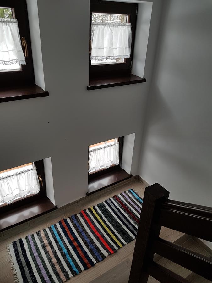 Pensiunea Pietrosul Rodnei Moisei Exterior foto