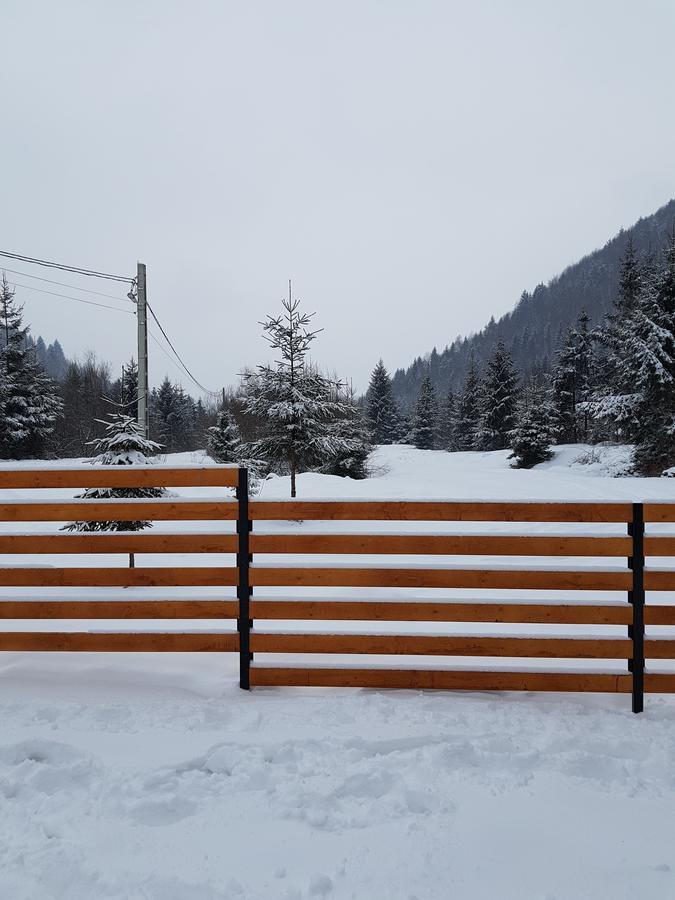 Pensiunea Pietrosul Rodnei Moisei Exterior foto