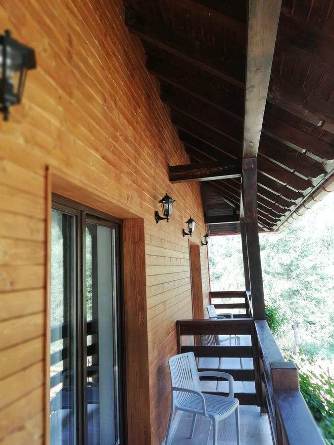 Pensiunea Pietrosul Rodnei Moisei Exterior foto